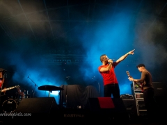 NERVO