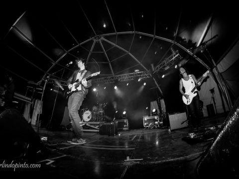 THE DOUPS