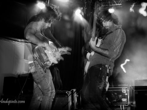 THE DOUPS