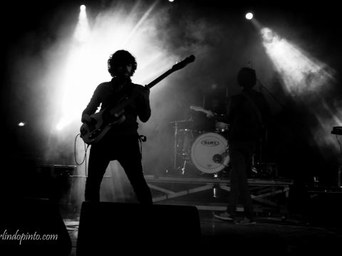 THE DOUPS