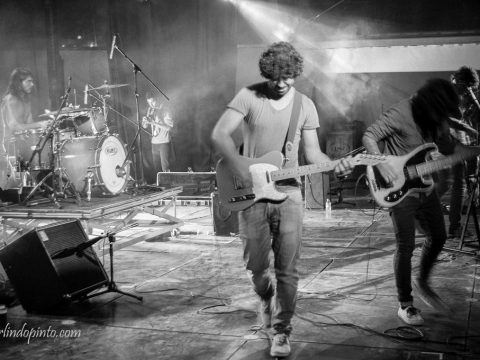 THE DOUPS