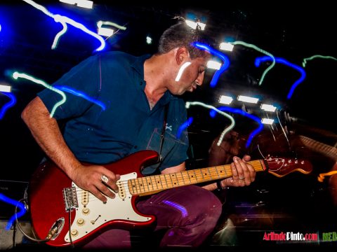 THE PARKINSONS