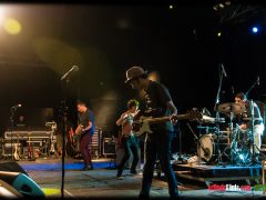 THE PARKINSONS
