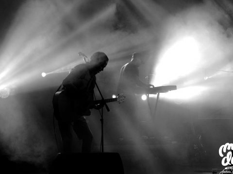 IMG_2235