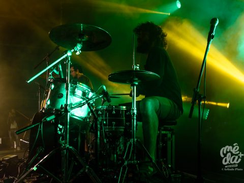 NICE WEATHER FOR DUCKS