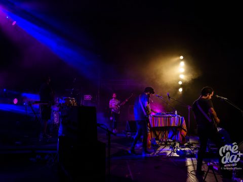 NICE WEATHER FOR DUCKS