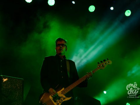 THE TWIST CONNECTION