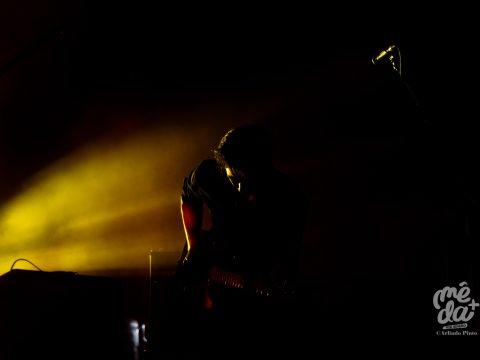 THE TWIST CONNECTION